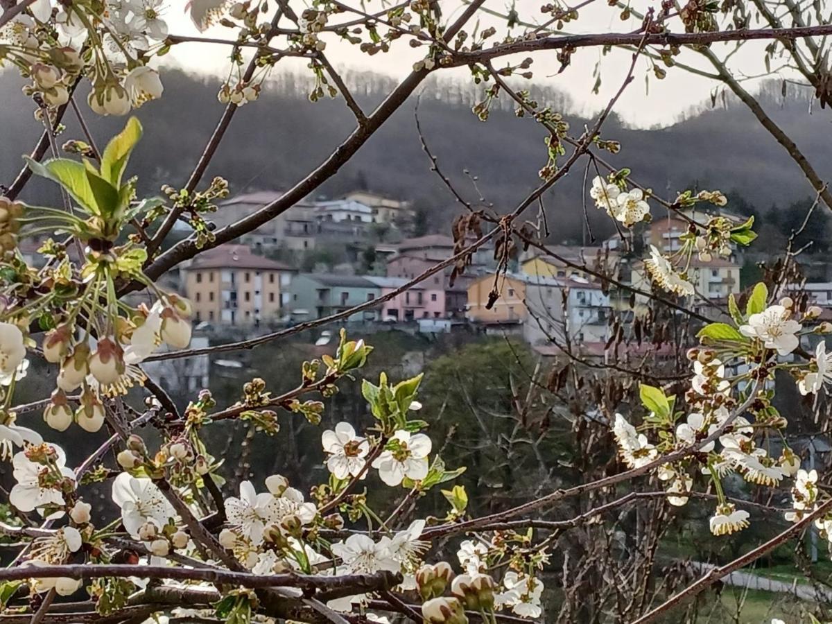 Casa Vacanze "Ellen" Bianchi Luaran gambar